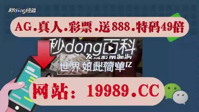 2024澳门全年一肖一码六开彩免费资料,精选解释解析落实