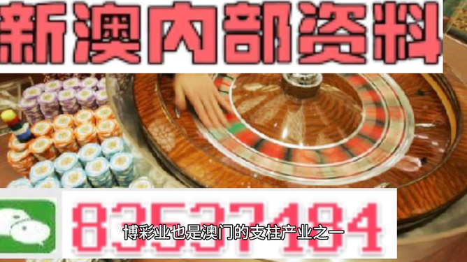 新澳门正版免费资料怎么查,最佳精选解释落实