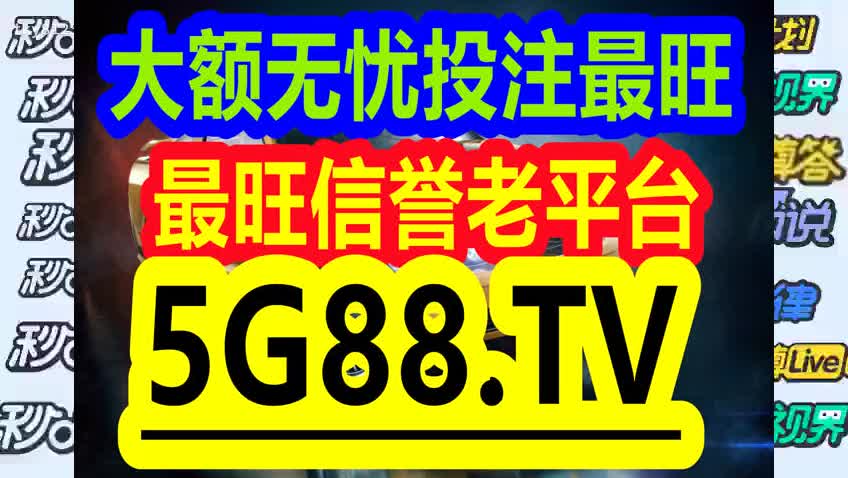 管家婆一码中一肖2024,精选解释解析落实