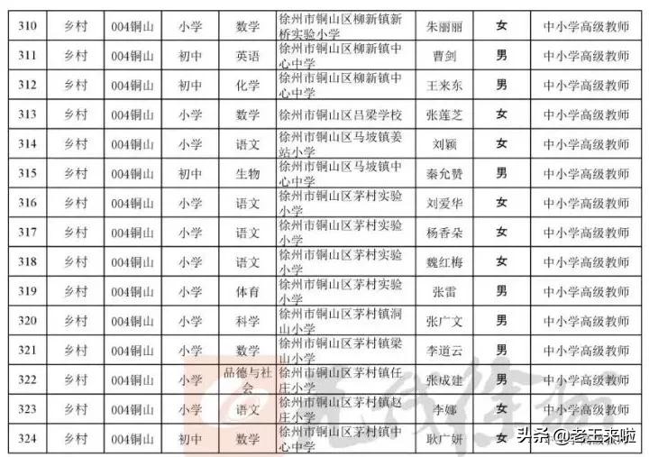 广东省教师资格证评审，全面解读与探讨