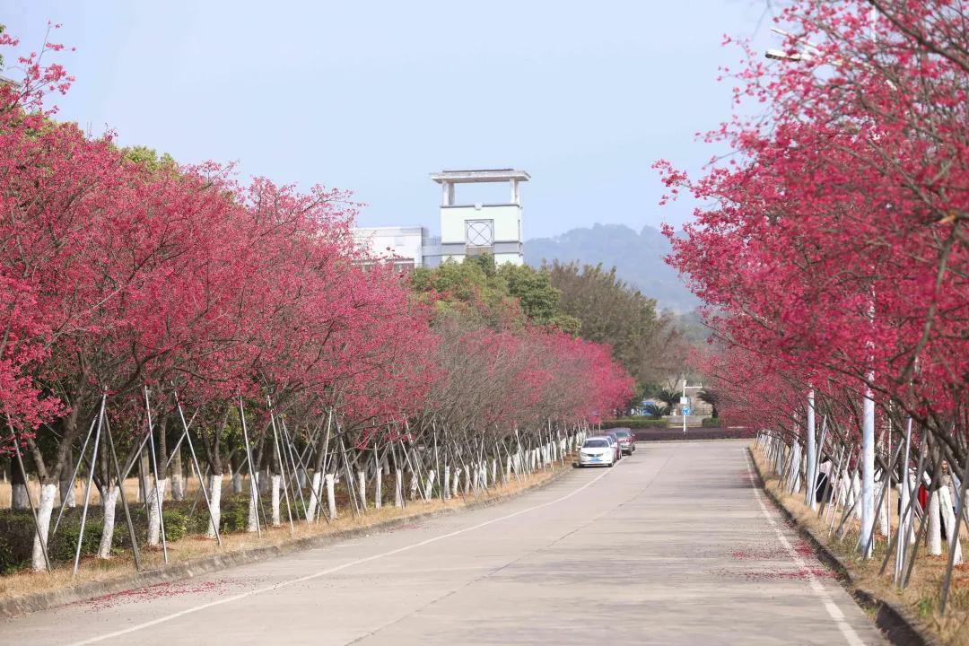 广东省青年区概览，活力四溢的青春聚集地