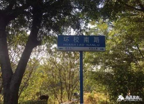 广东省固废管理，挑战与对策